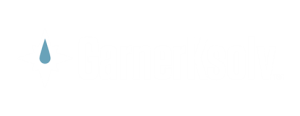 GarnerKsolv-CMYK-reversed-01-for-web